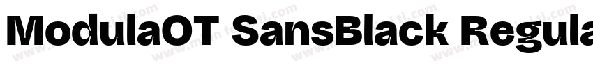ModulaOT SansBlack Regular Version字体转换